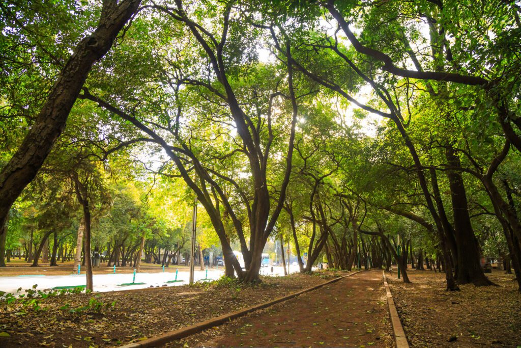 Conoce estos increíbles lugares en CDMX para correr circuito Gandhi