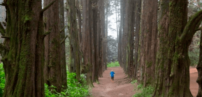 Conoce estos increíbles lugares en CDMX para correr El Ocotal