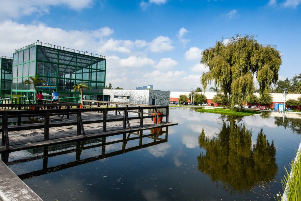 Conoce estos increíbles lugares en CDMX para correr parque bicentenario