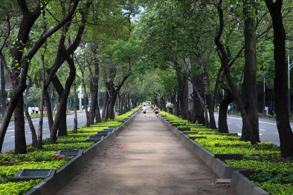 áreas verdes en CDMX